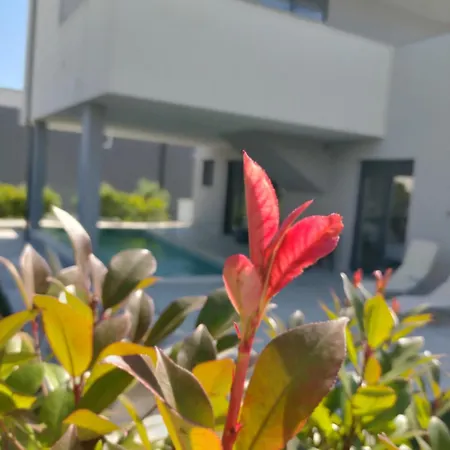 Favoloso Duplex Volme - Banjole, Pula, Croazia Holiday home *