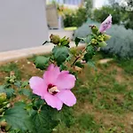 Holiday home Favoloso Duplex Volme - Banjole, Pula, Croazia